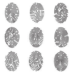 Fototapeta na wymiar Set of different vector outline fingerprint isolated on white background. Abstract geometric identification authorization symbol.