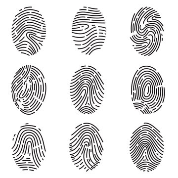 Set of different vector outline fingerprint isolated on white background. Abstract geometric identification authorization symbol.
