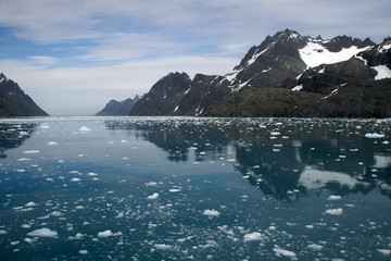 Fototapeta na wymiar Drygalski Fjord South Georgia Islands, views with ice floating on the water