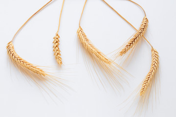 Wheat ears isolated on white background close up