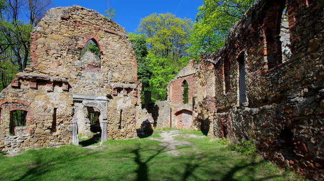 Ruiny Starego Książa w Książęcym parku krajobrazowym