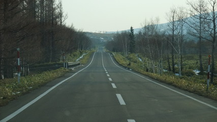 Fototapeta na wymiar 北海道の道路