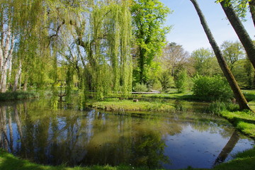 Fototapeta na wymiar Parc du château de Clos Lucé