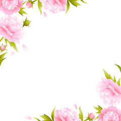 Peony. Flowers. Flower pattern. Background. Pink. Border. Buds. Green leaves. Petals.