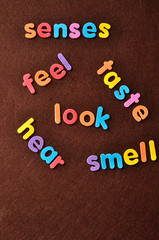 The words senses, feel, taste, look, hear and smell on a brown background