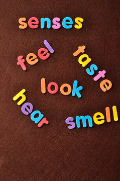 The words senses, feel, taste, look, hear and smell on a brown background