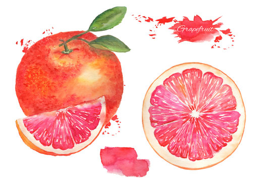 Grapefruit with leaf and grapefruit slice watercolor illustration on an isolated background