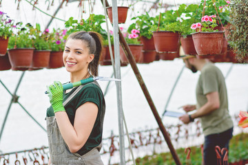 Young female gardener and her male colleague working in greenhouse, planting and taking care of...