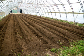 soil row inside green house