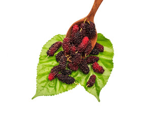 sweet mulberries and wood spoon on Green leaf  and white background.