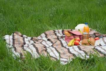 Plaid, hat, glasses, book, senvichi, juice and fruit with a basket on a plaid on the green grass. The concept of a picnic, summer and rest.