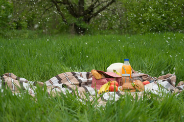 Plaid, hat, glasses, book, senvichi, juice and fruit with a basket on a plaid on the green grass. The concept of a picnic, summer and rest.
