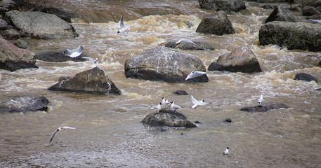 Obraz premium Lunchtime