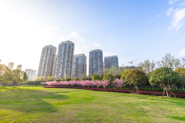 Obraz premium green lawn with modern building in park