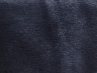  Hair of a cow texture