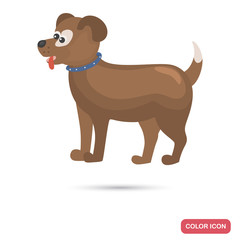 Farm dog color flat icon