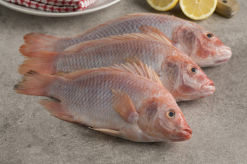 Fresh raw red tilapia fishes