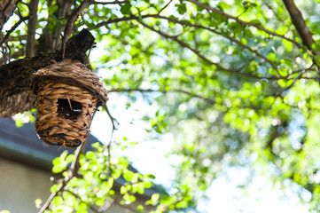 Empty straw bird nest, green blurry background, space for text.