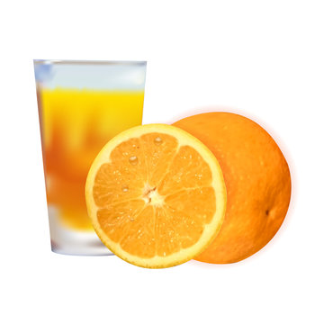 Glass of fresh orange juice and oranges fruit isolated on white background. Vector illustration.