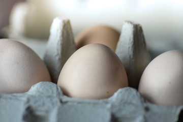 Closeup of Eggs in a egg cardboard box