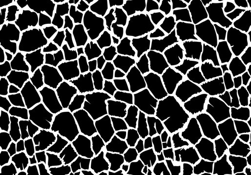 Print Black White Animal Skin Texture Giraffe Repeating Seamless Pattern 