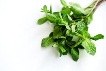 Close up of fresh mint leaves on white background. Selective focus