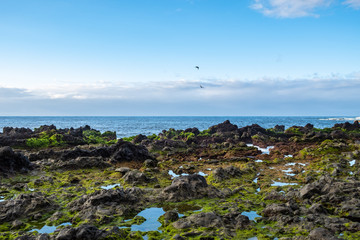 Fototapeta na wymiar Die Bucht von San Telmo bei Ebbe. Diese Bild ist im Stadtgebiet von Puerto de la Cruz an der Atlantiküste aufgenommen worden.
