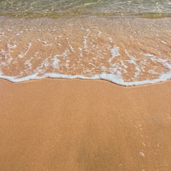 Coast. Waves and sand.
