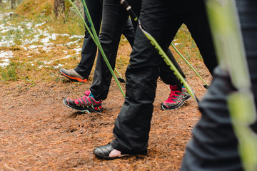 The company of people strolls through the forest