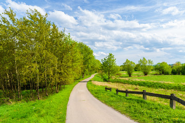 Fototapeta na wymiar Rural road along Vistula river among green fields near Krakow city during spring season, Poland