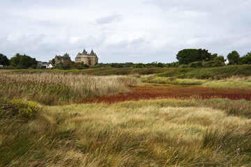 Paysage du château de Suscinio en Bretagne