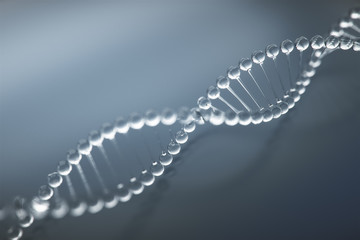 Glass DNA model,DNA structure.