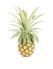 Pineapple slices and pineapple on isolated white background