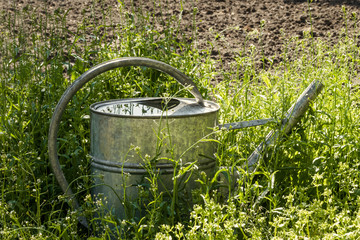 Metal garden watering can and spring garden