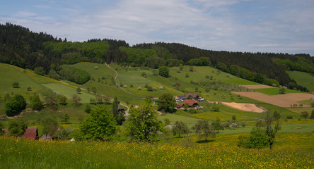 Fototapeta na wymiar Tal in Prinzbach /Biberach