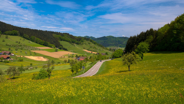 Landschaft im Schwarzwald