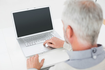Fototapeta na wymiar Closeup rear view of a grey haired man using laptop at desk