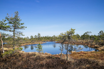 Lake in swamp, Mukri, Estonia spring.