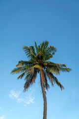 Beach on Mauritius island