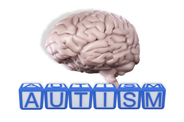 Autism building blocks against brain