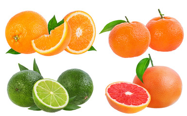 Citrus Fruit Set (orange, grapefruit, lime, tangerine or mandarin fruit) isolated on white background.