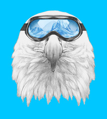 Portrait of Eagle with goggles,  hand-drawn illustration