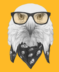 Portrait of Eagle with glasses and scarf,  hand-drawn illustration
