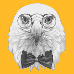 Portrait of Eagle with glasses and bow tie,  hand-drawn illustration