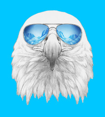 Portrait of Eagle with sunglasses,  hand-drawn illustration