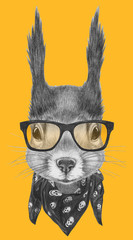 Portrait of Squirrel with scarf and glasses,  hand-drawn illustration