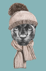 Portrait of Panther with hat and scarf,  hand-drawn illustration