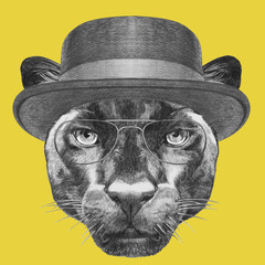 Portrait of Panther with hat and glasses,  hand-drawn illustration