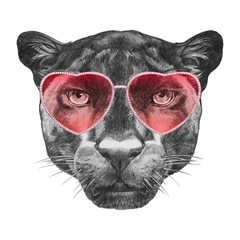 Panther in Love! Portrait of Panther with sunglasses, hand-drawn illustration