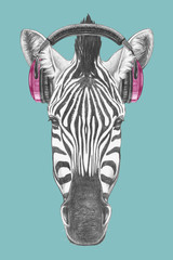 Portrait of Zebra with headphones,  hand-drawn illustration © Victoria Novak